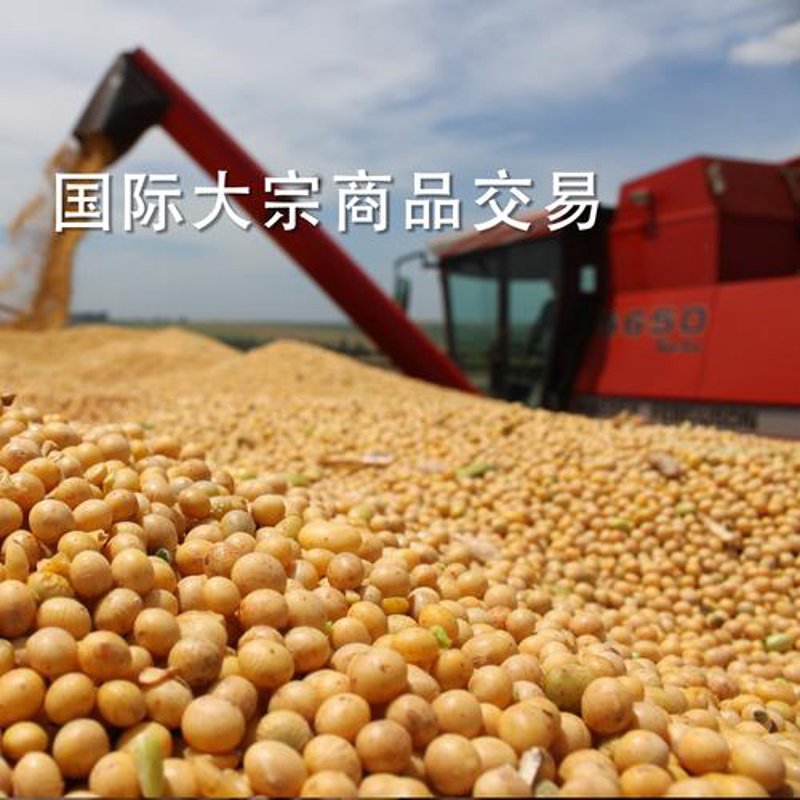 张家港贸易公司的行业动态观察